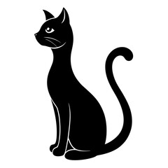 black cat on white background