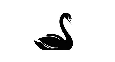 Vector black swan vector illustration elegant swan silhouette swan drawing water bird swan art swan design swan icon image