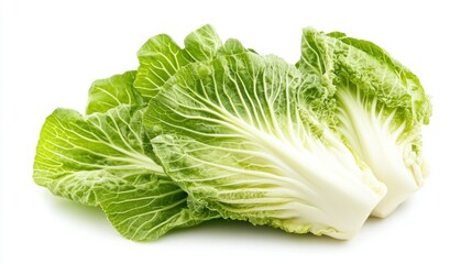 Fresh Napa Cabbage Close-Up Enhance your healthy diet with leafy greens, a staple for delicious Asian-inspired cuisines