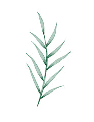Rustic Watercolor Leaf Illustration, Minimal Botanical Clipart for Decor

