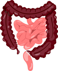 Total Abdominal Colectomy 