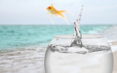 Goldfish jumping out of glass fish bowl into sea outdoors