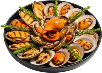 Grilled mussels and escargot with rosemary garnish on a platter isolate