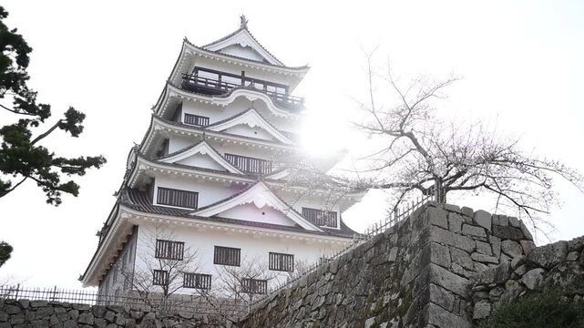 桜咲く春の福山城 （広島県福山市, 2025年4月）