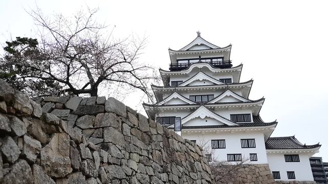 桜咲く春の福山城 （広島県福山市, 2025年4月）