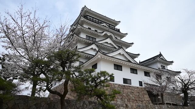 桜咲く春の福山城 （広島県福山市, 2025年4月）
