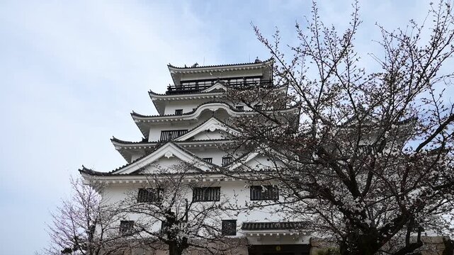 桜咲く春の福山城 （広島県福山市, 2025年4月）