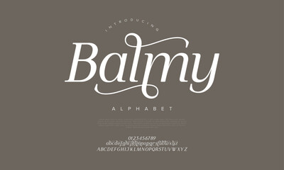 Elegant serif font with flowing lines perfect for wedding or beauty brands