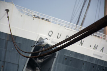 ship in the harbor