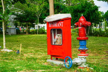 A red fire hydrant stands on green grass next to a red hydrant box in a park setting with trees and...