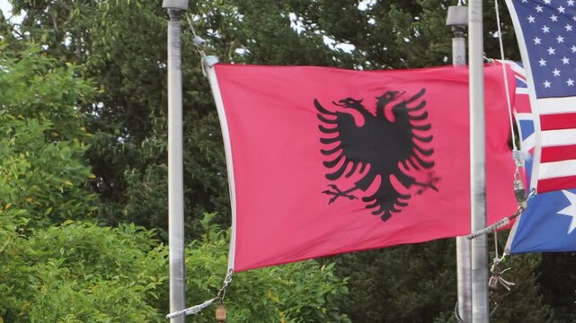 The national flag of the country of Albania waving in a strong wind on top of a flag pole with green tress right behind it.