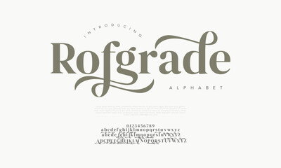 Elegant serif font with calligraphic swashes, ideal for luxury, branding, and weddings