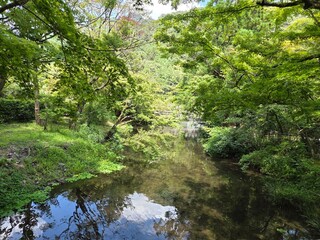 晴れた日の庭園の写真