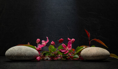 stones for podium cosmetic background