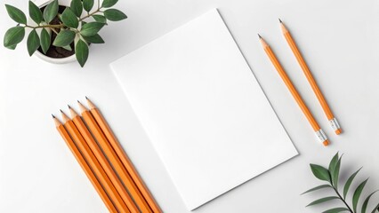 Overhead shot of a blank paper on a white desk with pencils and a plant, isolated on white background