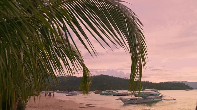 Colorful sunset sky and calm tropical water with palm framing in Port Barton