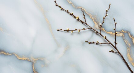 Frosty willow branches with white catkins emerge in the cold spring, a beautiful sign of the season