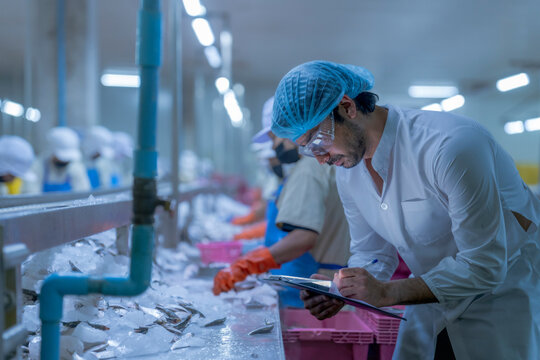 Food processing workers in protective gear, including lab coats, hair covers, and goggles, inspecting fish on ice in a factory setting, emphasizing hygiene, quality control, and safety standards.