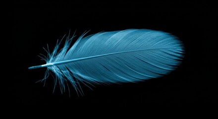 Serene simplicity: A single light blue feather against stark black background