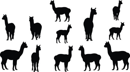 Alpaca silhouette vector set, standing and walking llama shapes, black flat animal icons, CAD illustration, South American camelid clipart
