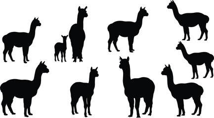 Alpaca silhouette vector bundle, standing and walking llama icons, CAD black flat design for wildlife illustration, South American animal clipart