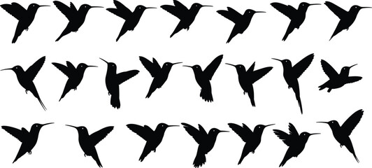 Flying hummingbird silhouette set, vector tropical birds, black flying bird icons, nature animal symbols, wildlife design elements for decoration,  silhouette set, vector tropical birds, black flying 