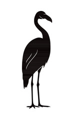 Obraz premium flamingo silhouette. Vector illustration of a flamingo