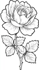 Elegant Black And White Rose Illustration