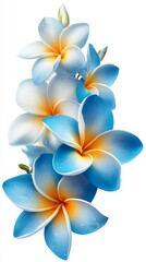 Naklejka premium Beautiful Blue And White Plumeria Bouquet