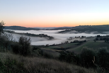 Fototapeta premium a view of a valley with a few trees