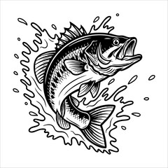 Set of Vintage Bass Fish Illustrations – Jumping and Splashing in Black and White