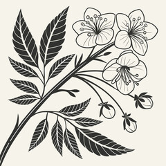 Ornamental flower branch illustration