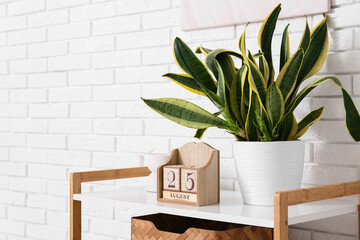 Cube calendar with date 25 AUGUST and plant on shelf near white brick wall