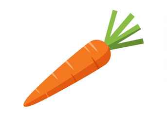 A single bright orange carrot with green leafy tops on a white background