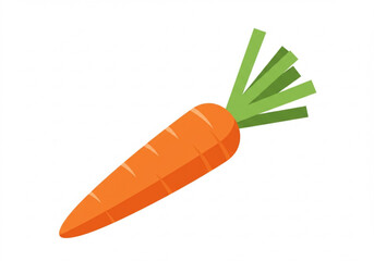 A single vibrant orange carrot with green leafy tops isolated on a white background