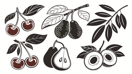 black olives with leaves