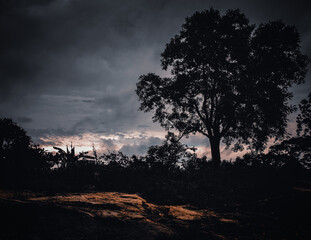 As the golden light fades and the sky turns moody, this lone tree stands as a quiet guardian of...