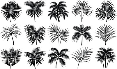 Collection of diverse black palm tree silhouettes and fronds on a white background