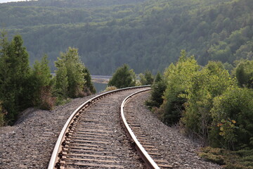 Fototapeta premium Railway in the woods and travel in summer. Path for train.