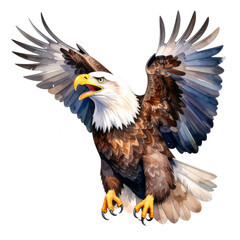Fototapeta premium soaring Eagle: This impressive watercolor illustration captures a majestic bald eagle in flight. The eagle’s wings are spread wide, showcasing detailed feathers against a plain background.