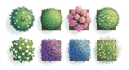 Top View Lush Green Plants, Blooming Flowers, and Vibrant Bushes Collection