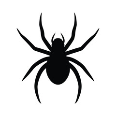 Black spider silhouette isolated on white background, Halloween insect clipart or spooky decoration design element