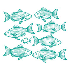 Fototapeta premium Fish Illustration: Teal Line Art of School of Fish, Aquatic Animal Drawing, Marine Life Graphic Design, Vector Image