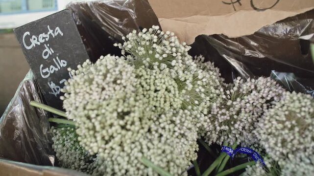 Cresta di Gallo flowers for sale at a farmer's market. The flowers are priced at $7 per pound. Fresh produce is sold to the public in the Ferry Building, San Francisco, California, USA