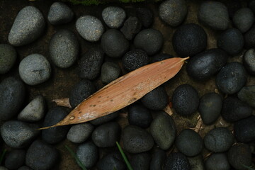 Dark Pebble Surface with Dry Leaf – Minimalist Natural Background