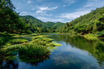 Harmony in Nature: Sustainable Water Practices in Pristine Environments