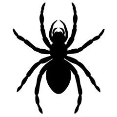 Obraz premium Minimalist Black Spider Silhouette Vector.