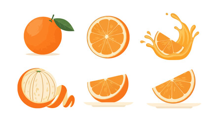Vibrant Orange Fruit Illustration Set