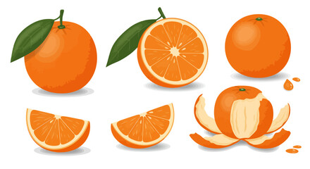Orange Fruit Set: Fresh, Sliced, and Peeled Vector