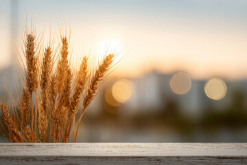 Golden wheat stalks stand against soft sunset background, evoking sense of tranquility